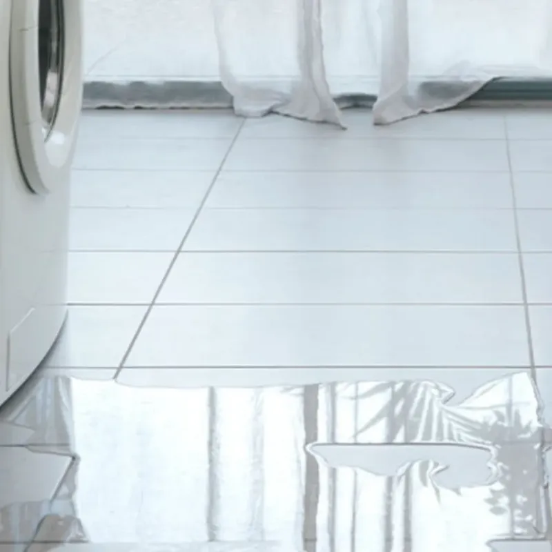 Appliance Leak Cleanup in Churchill County, NV