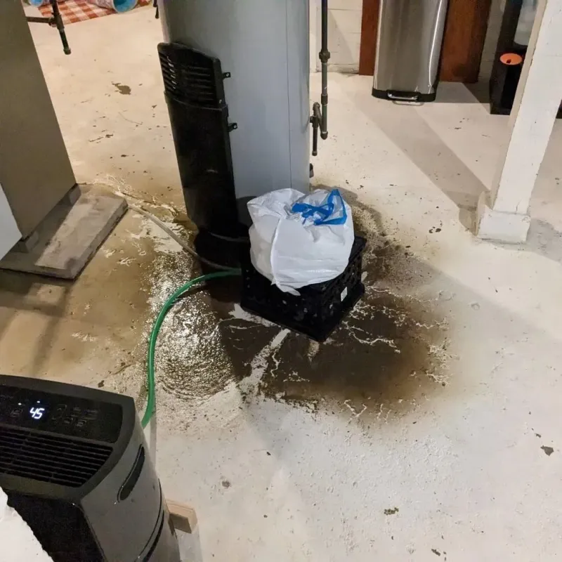 Sewage Backup Cleanup Service in Churchill County, NV